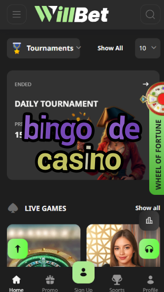 Bingo De Casino - French Bingo Experience-casinodogs.ydblkf.net