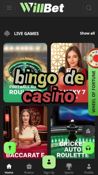 Bingo De Casino - French Bingo Experience-casinodogs.ydblkf.net